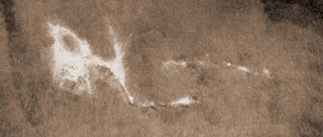 A blotched brand caused by hair fire from a red-hot iron